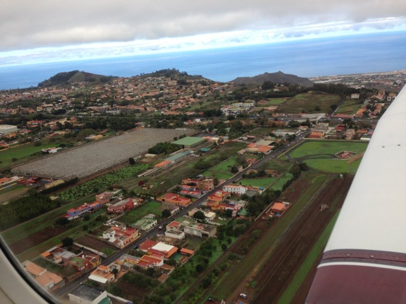 The colors are so strong after the rain