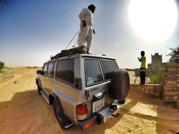 Freshly arrived at our shelter