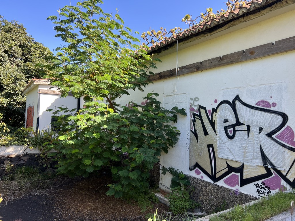 The old terminal building at Breña Alta