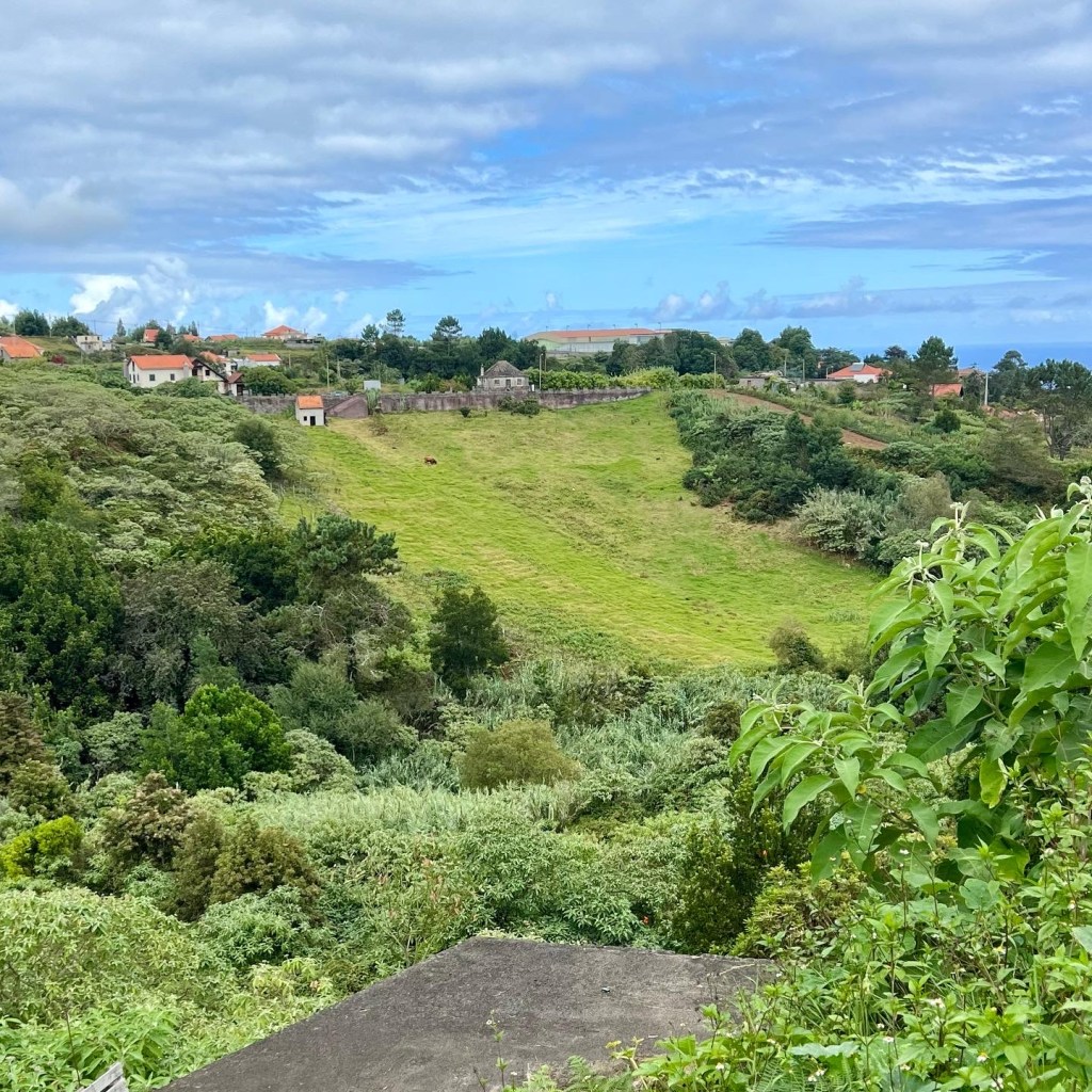 Countryside around Santana